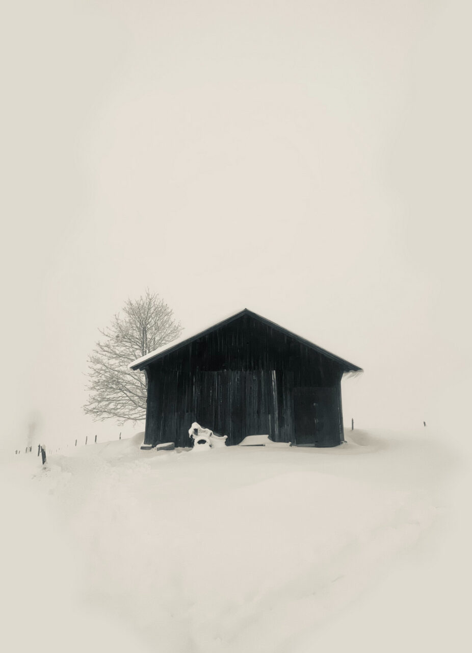 Adrianna Muffat Jeandet Wojcik