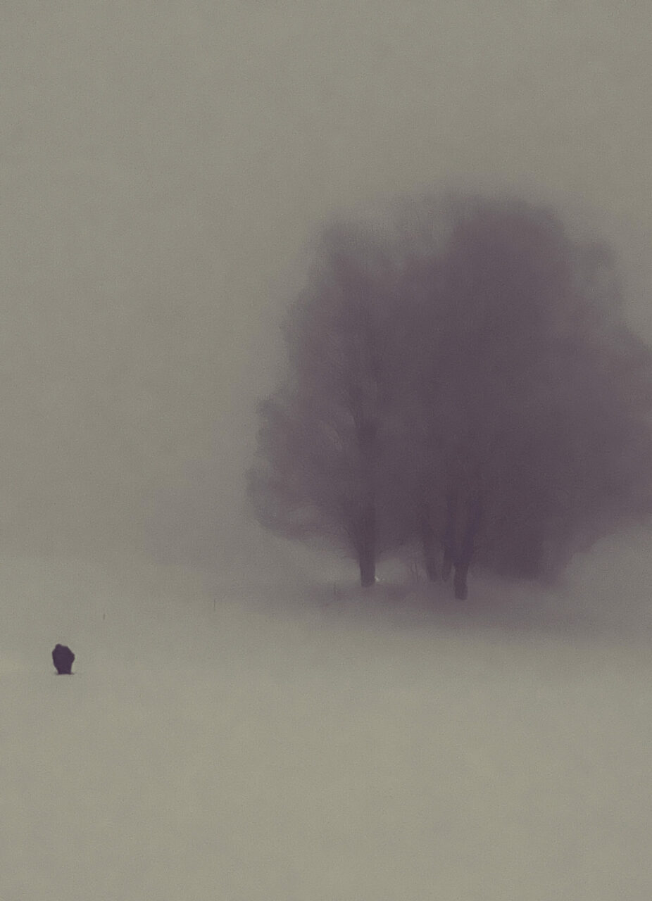 6A15031F-0707-443B-8ED2-04C388E37435