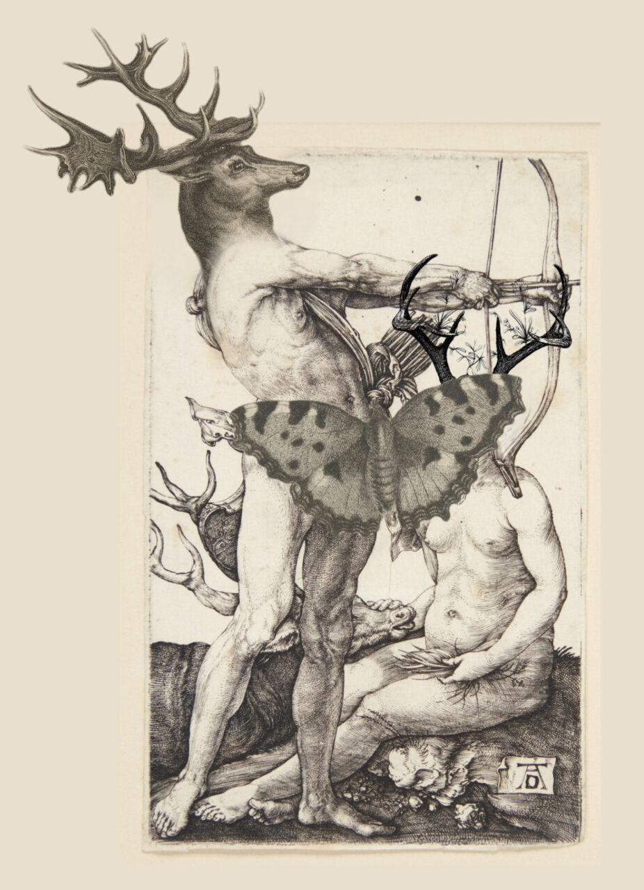 Hybride homme animal collage digital adrianna MJW